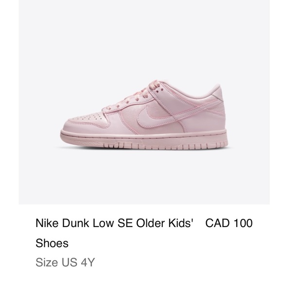 Nike Shoes - Nike Dunk Low - Prism